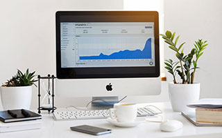 澳门新葡京：光影中的奢华与城市记忆