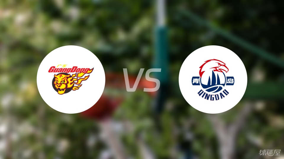 广东vs青岛回放